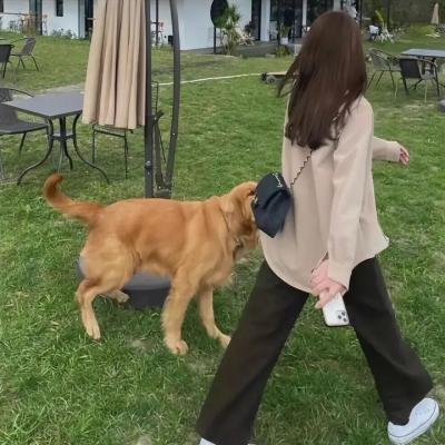 杀人房间